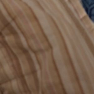 Meet your Posher, Samuel